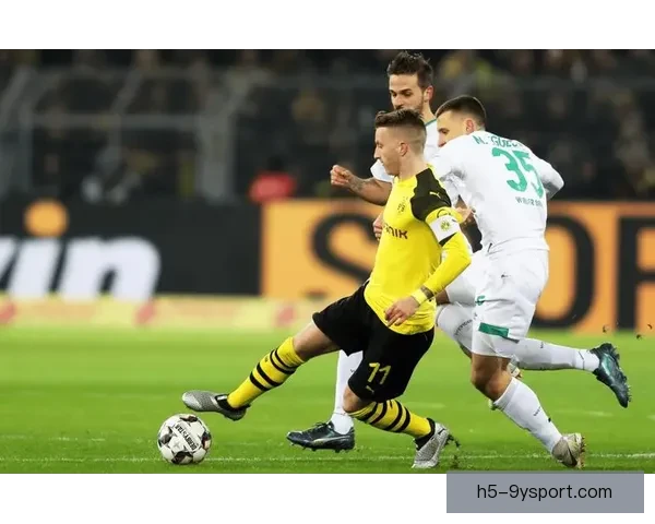 ds足球在线直播德甲精彩赛事实时解析与观赛指南权威数据前瞻分析